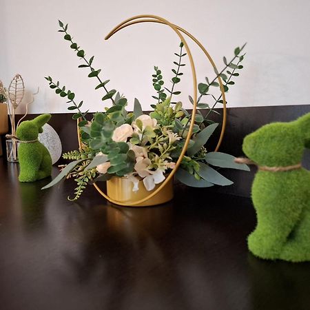 Apartament Aleea Minerva Брашов Екстериор снимка