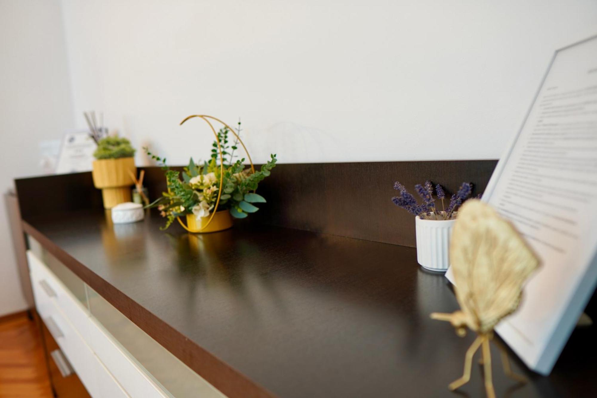 Apartament Aleea Minerva Брашов Екстериор снимка